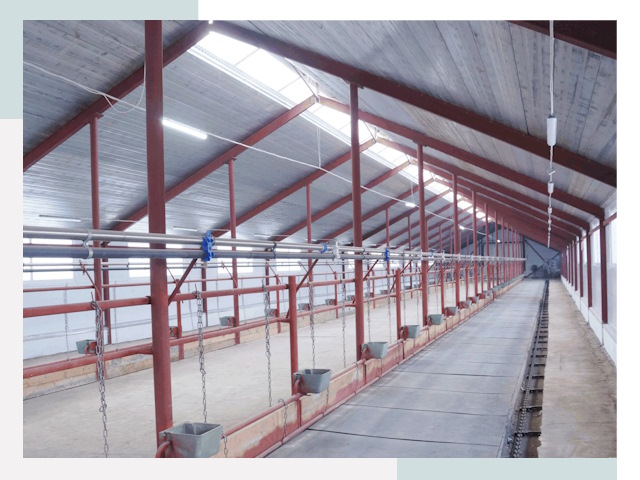 Строительство коровников в Мысках от 609 руб.