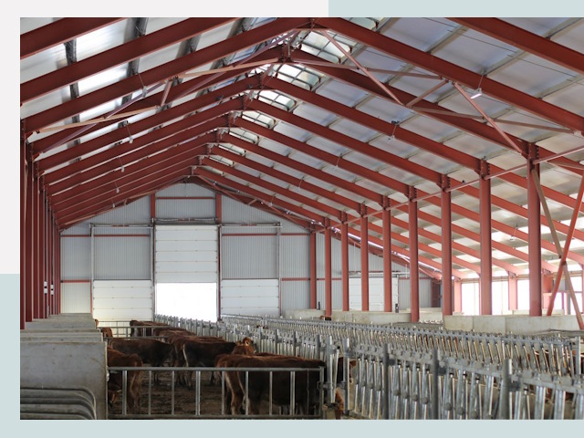 Строительство коровников в Мысках